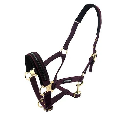 Bainbridge Horse Halter Pony Purple