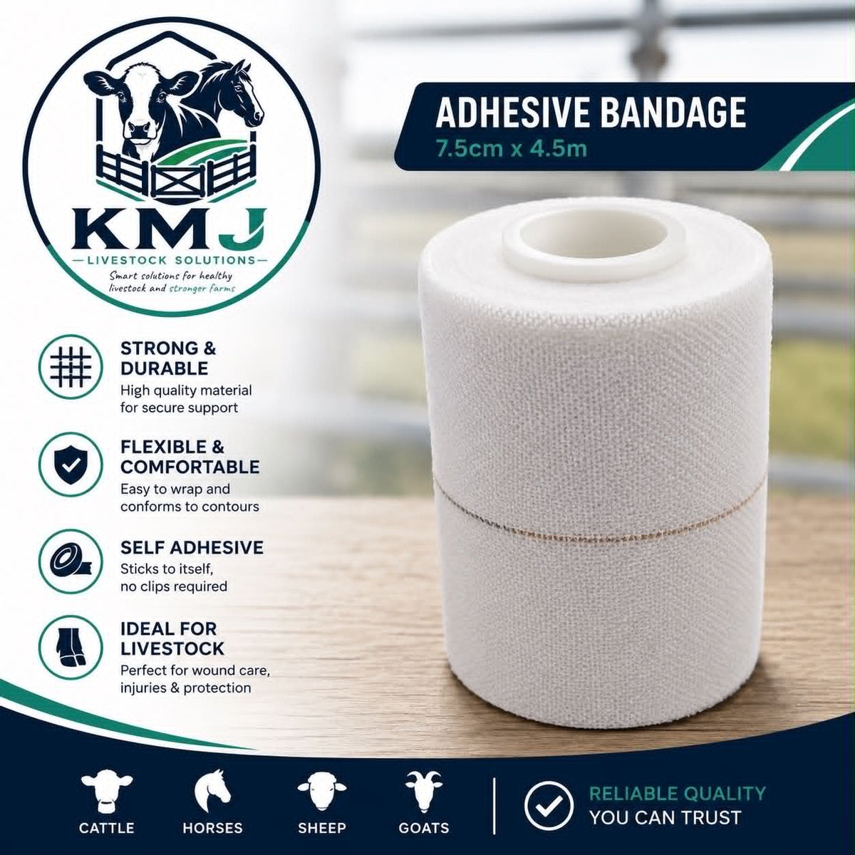 Adhesive Bandage