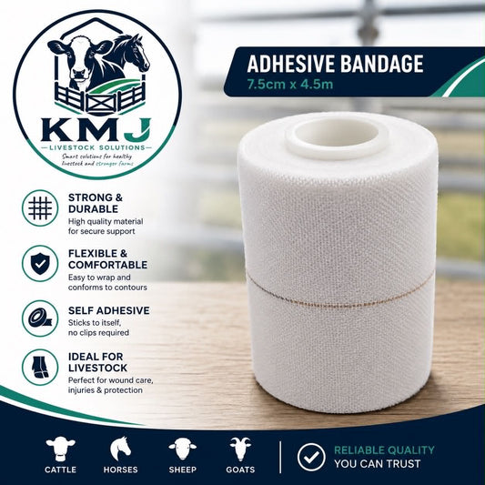 Adhesive Bandage