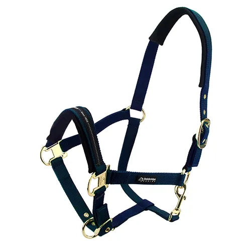 Bainbridge Horse Halters cob blue